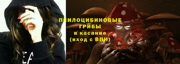 гашиш Касимов