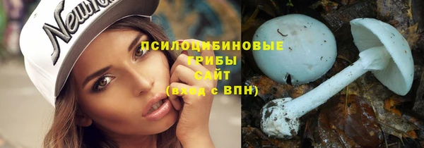 гашиш Касимов