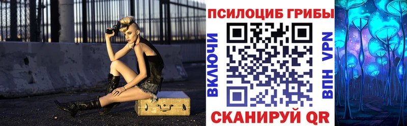 Псилоцибиновые грибы Psilocybine cubensis  Купить где  Североуральск 